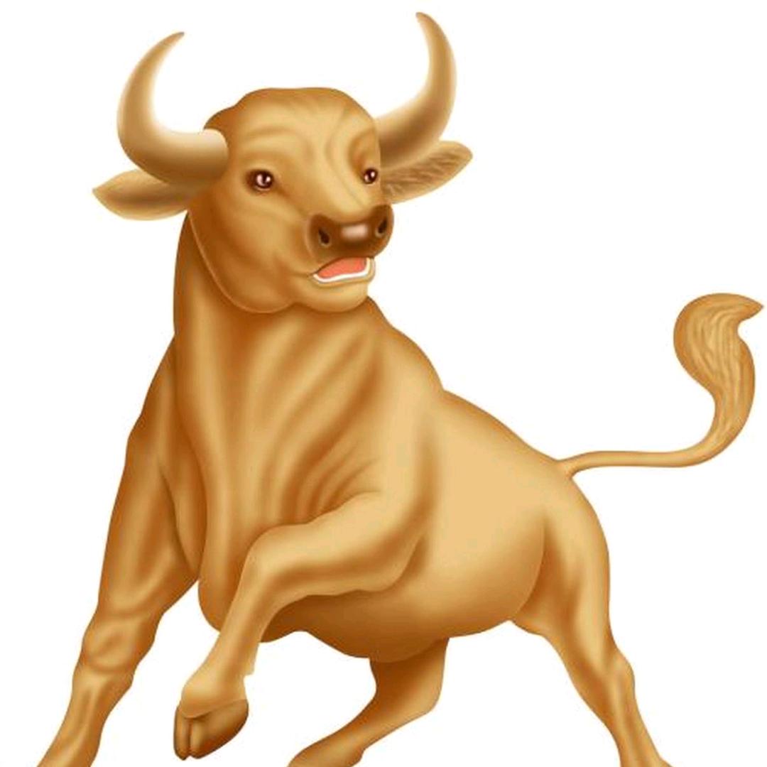 李高贵专业买牛团队