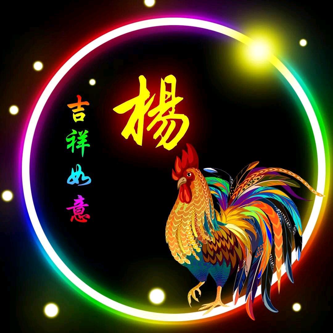 杨哥🎤
