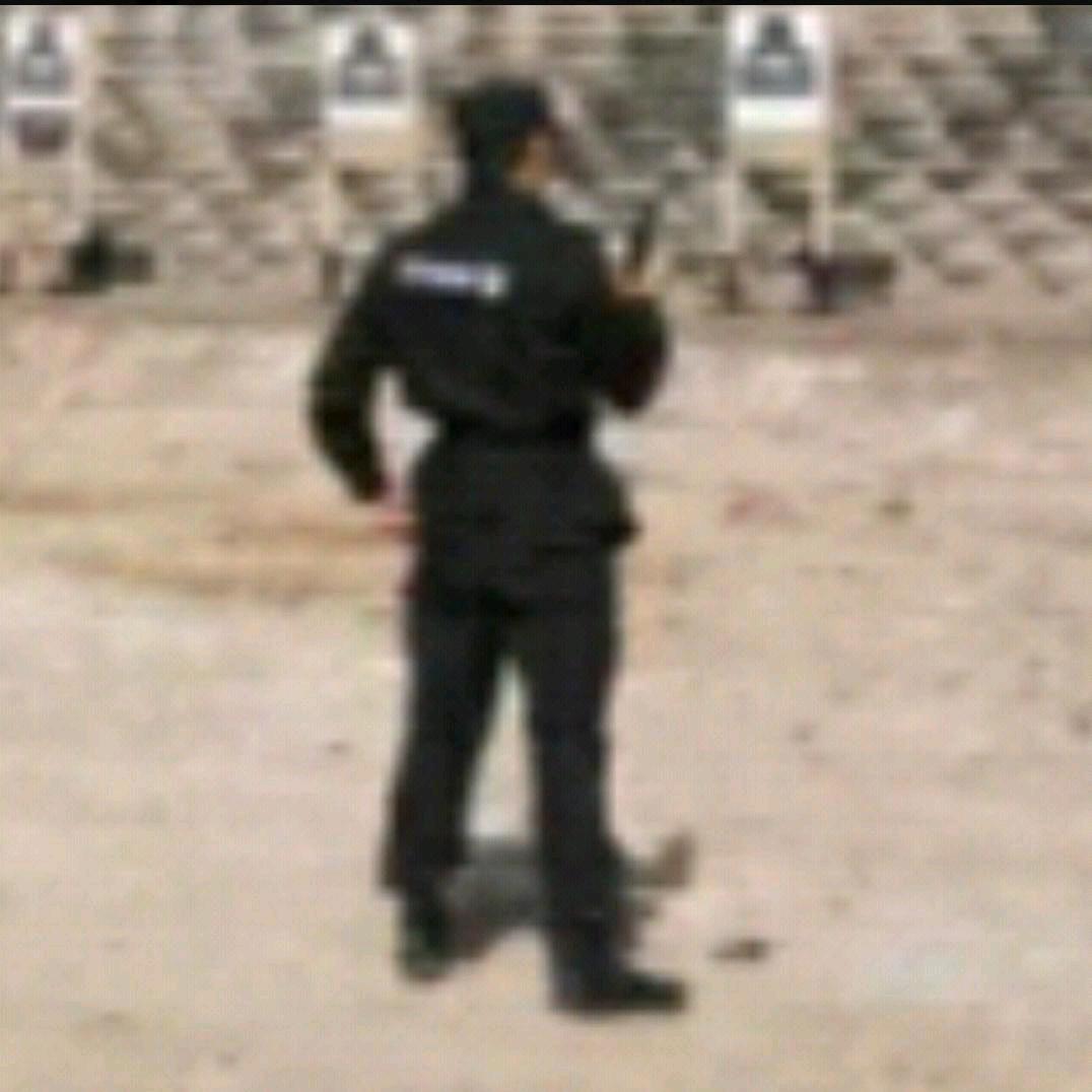 金色麦浪🔥哈斯新歌🔥《风中的额吉》