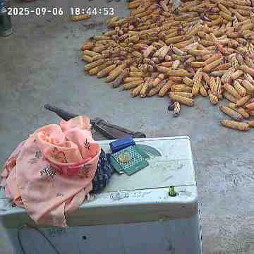 用户370535660415