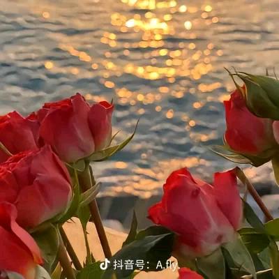 锦绣花开，