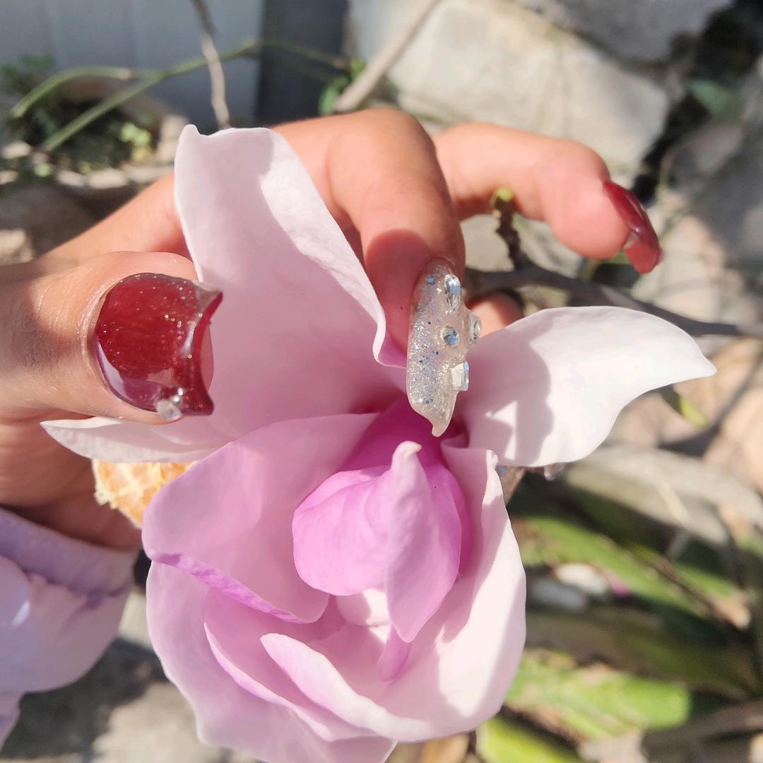 🌸世界对我温柔以待