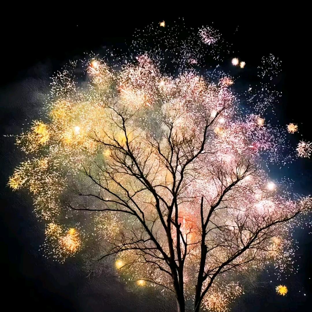 张成功