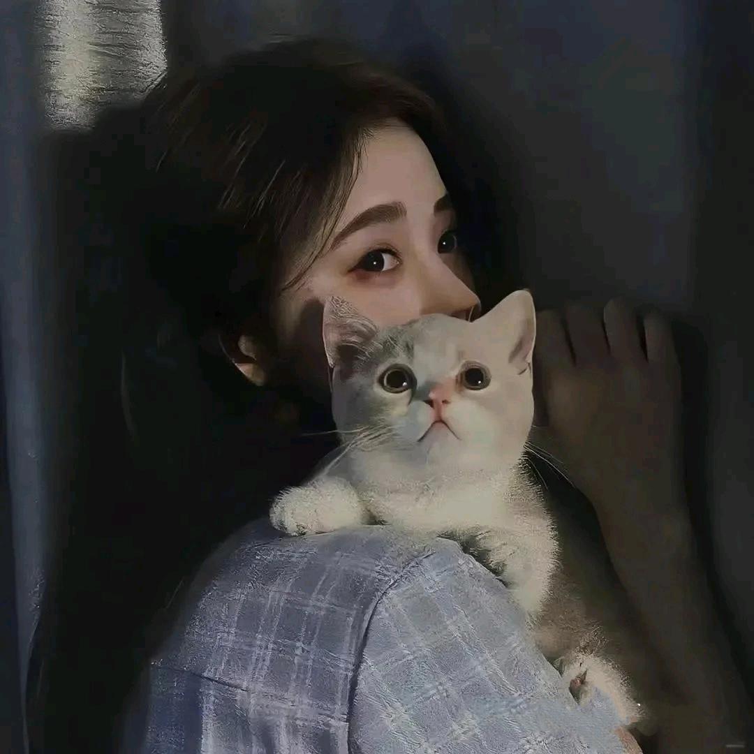 ✨