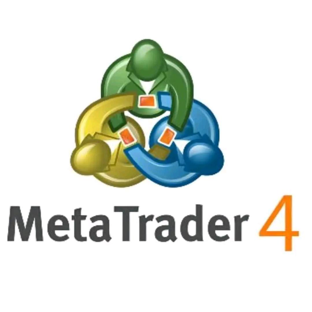 mt4/5编程从业者