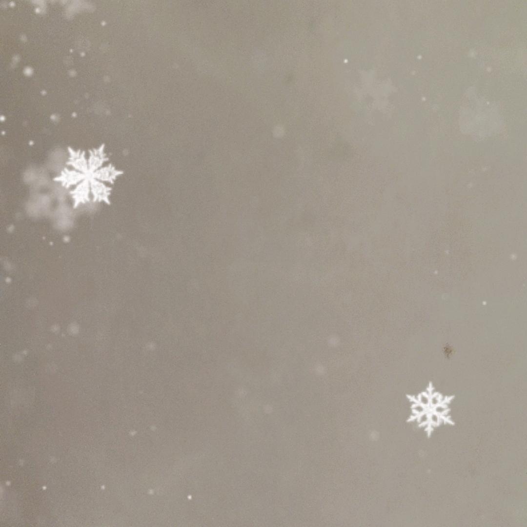 双鱼座