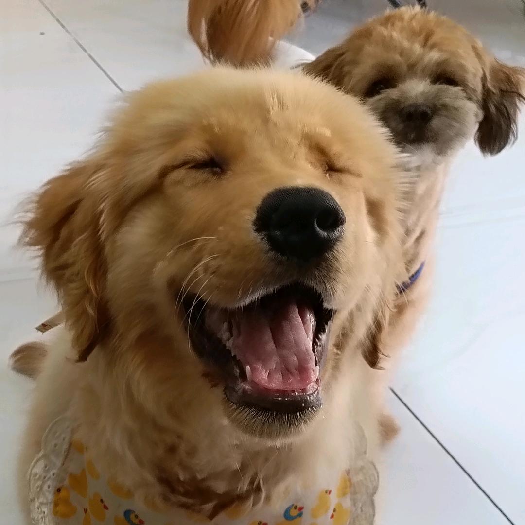 我还想继续睡觉啊！