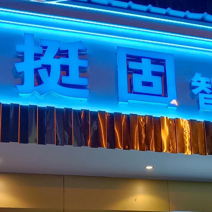挺固智能门