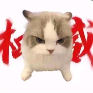 奶猫不是奶猫