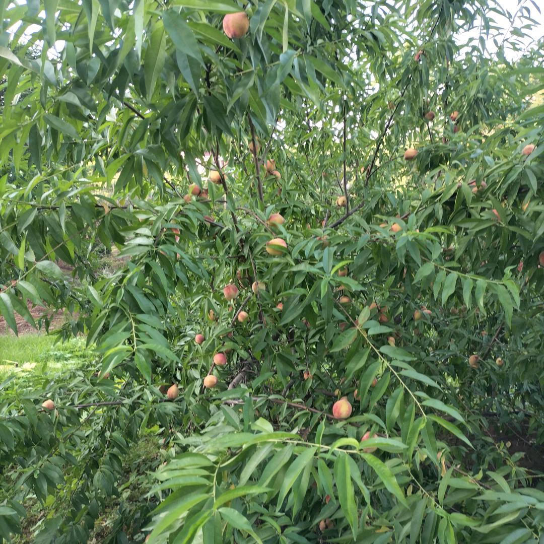 好了伤疤，忘了疼远离红尘