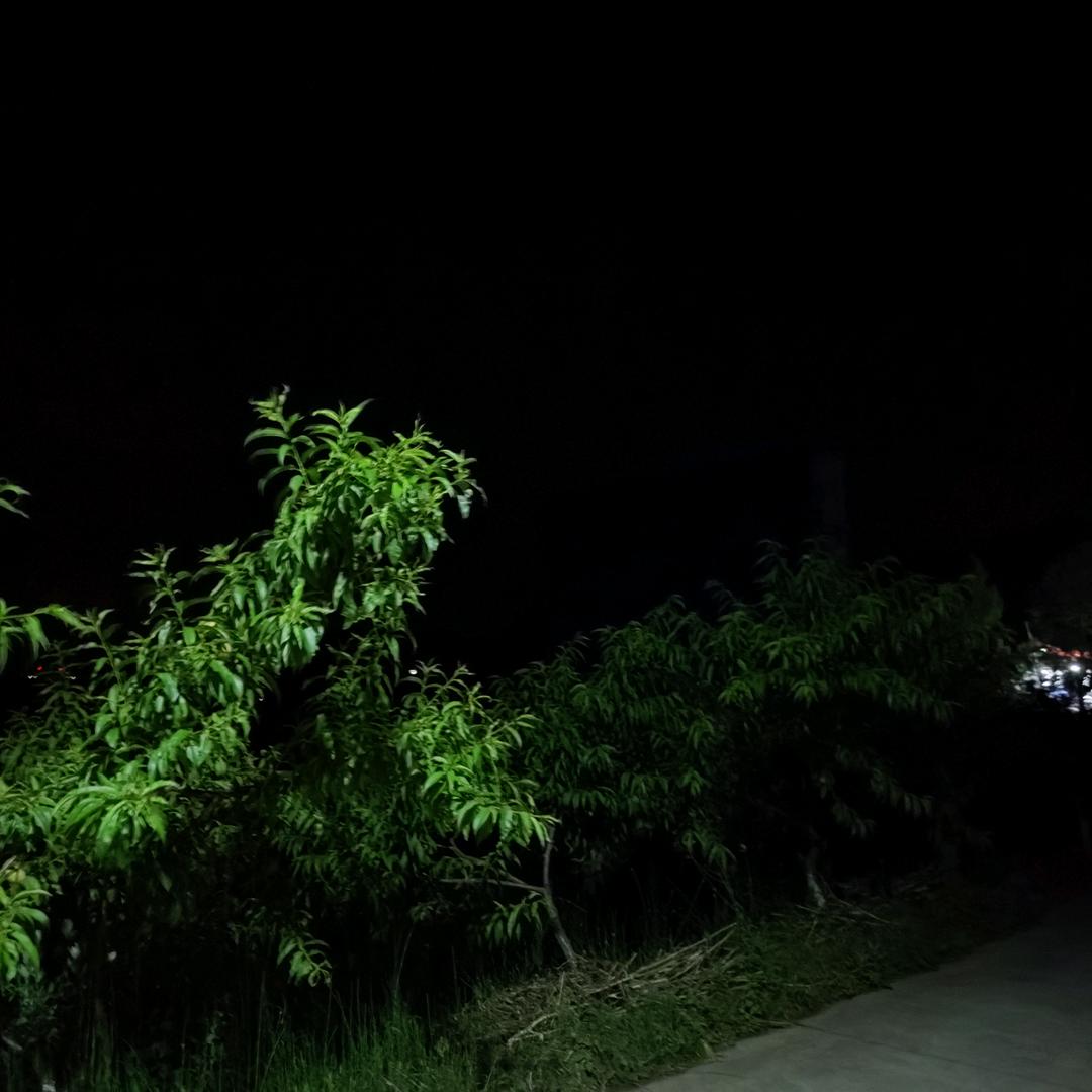 用户46861346886