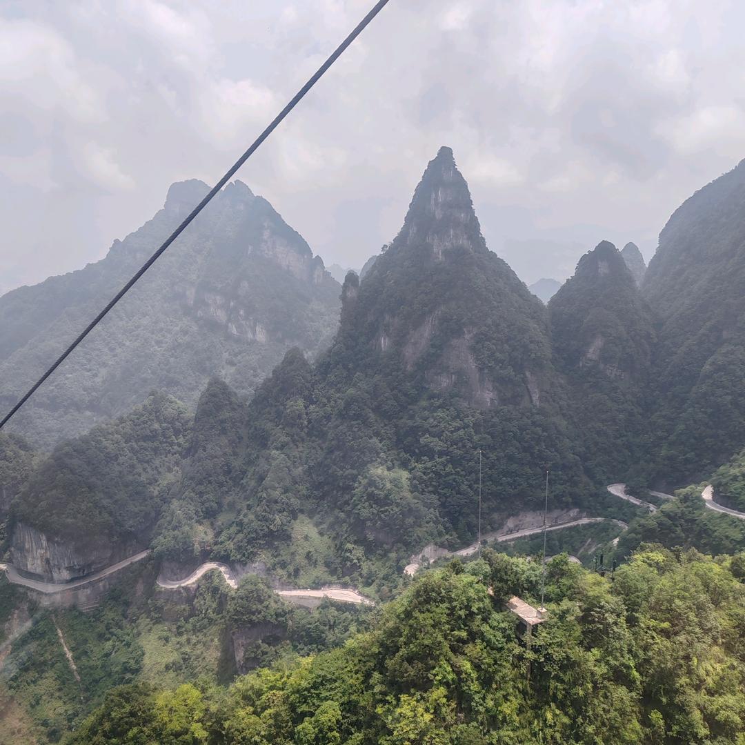 河南芝麻灰