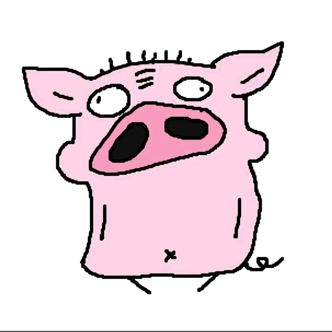 虫虫