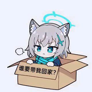 贵仔