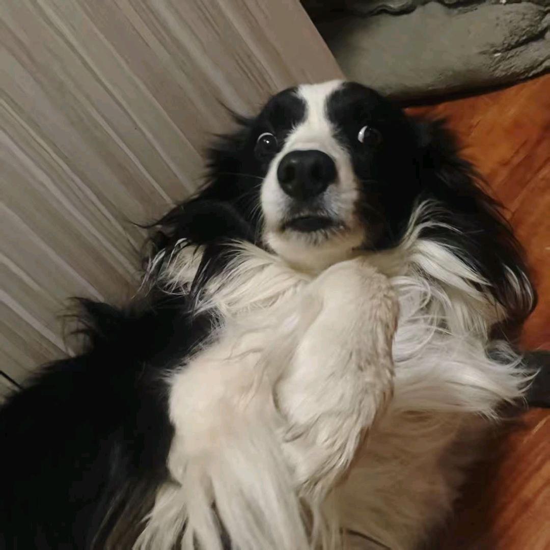 清扰