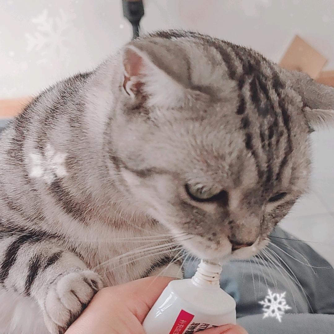 点点的快乐日常