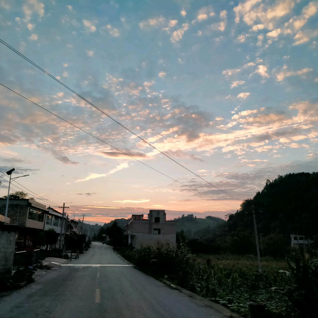 芳