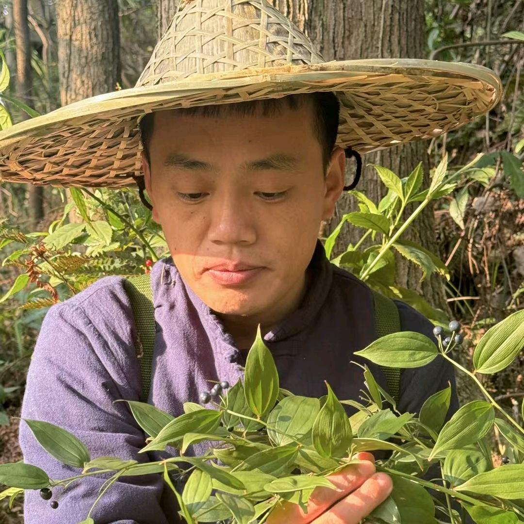 阿木☘️传苗方