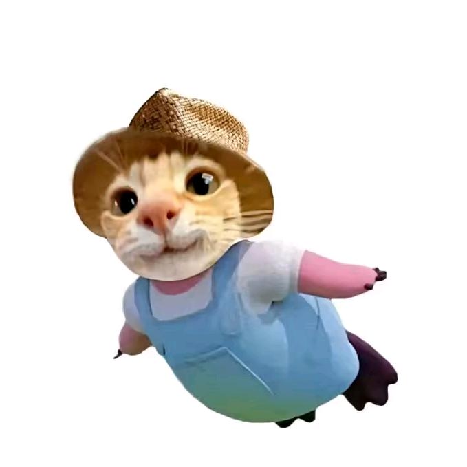 夜羽