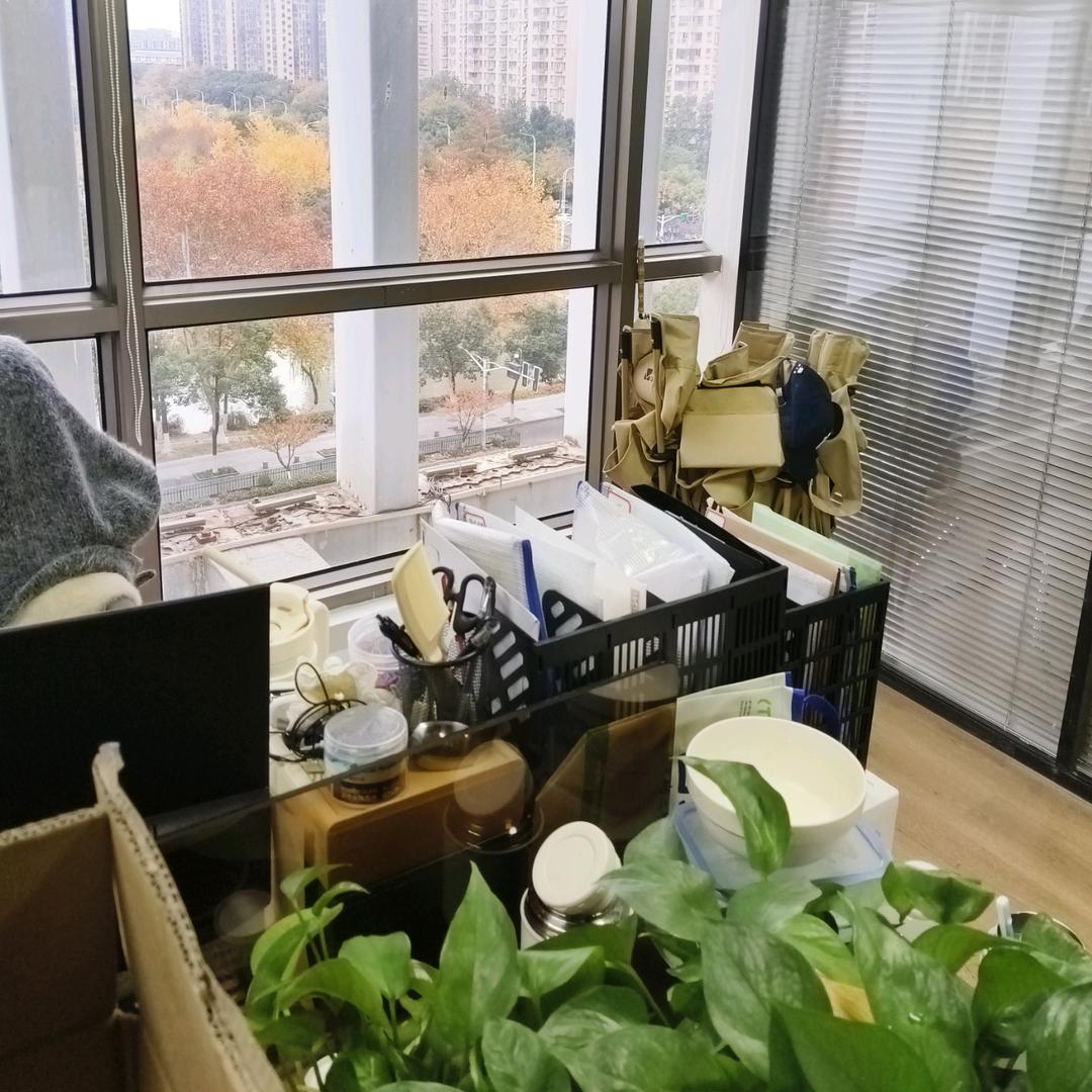 朝生企服