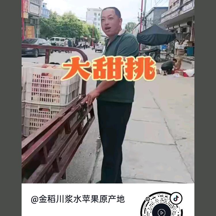 金稻川苹果尹同玉