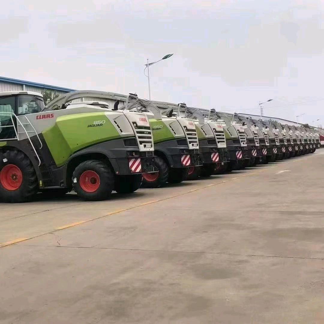 河北衡水市新农人