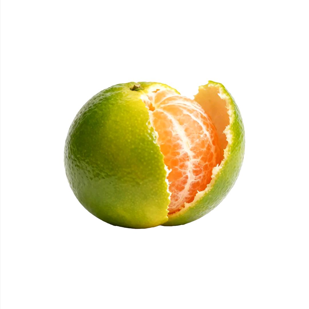 橘子