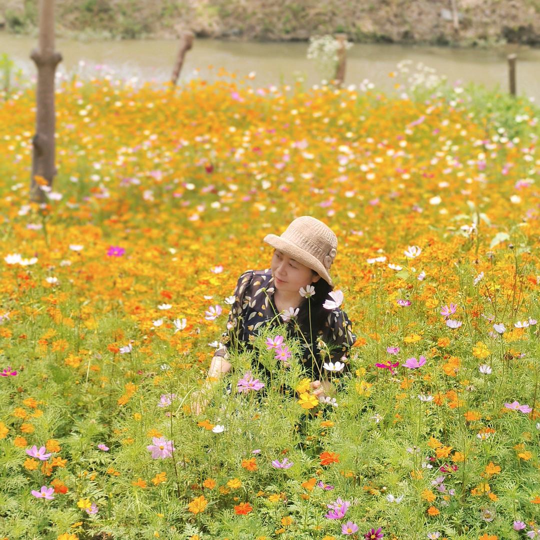 芳草依依