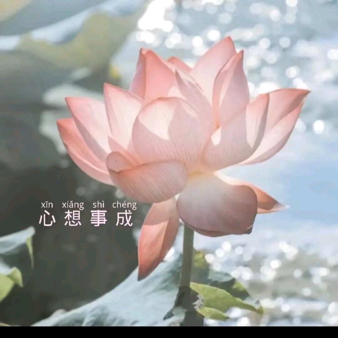 拾伍.
