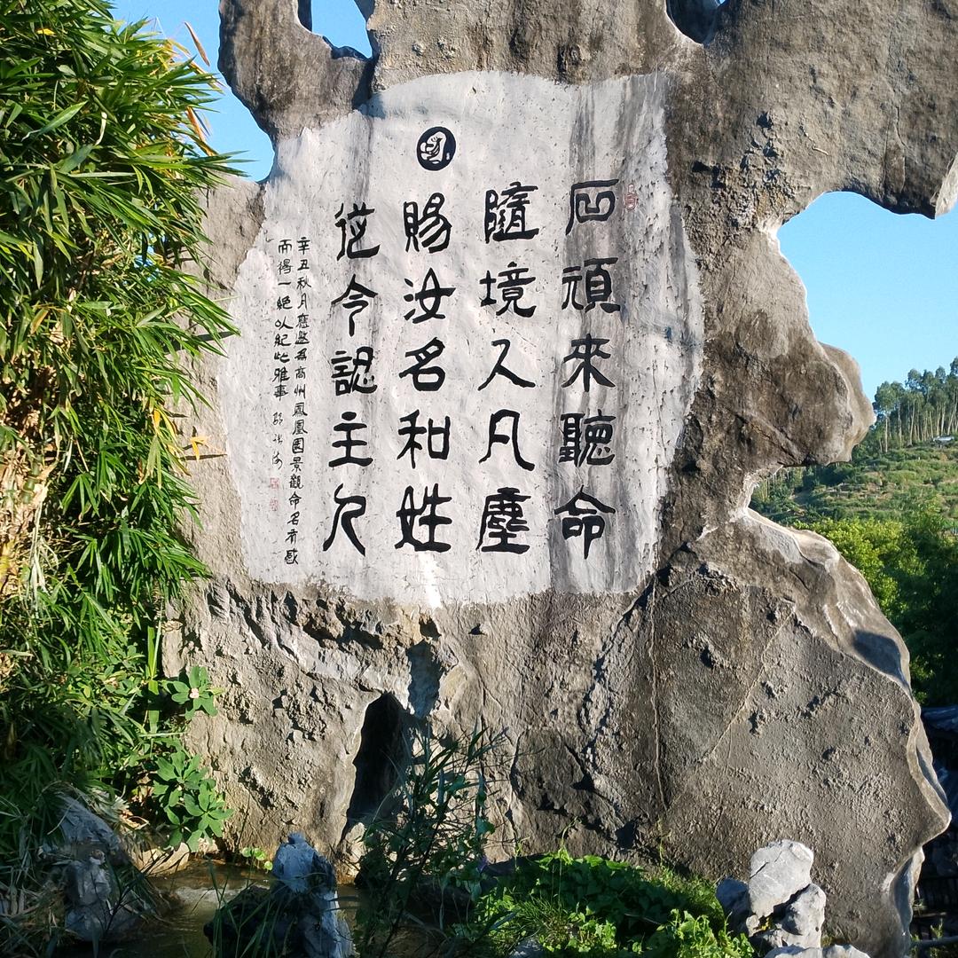 爆单肥肥