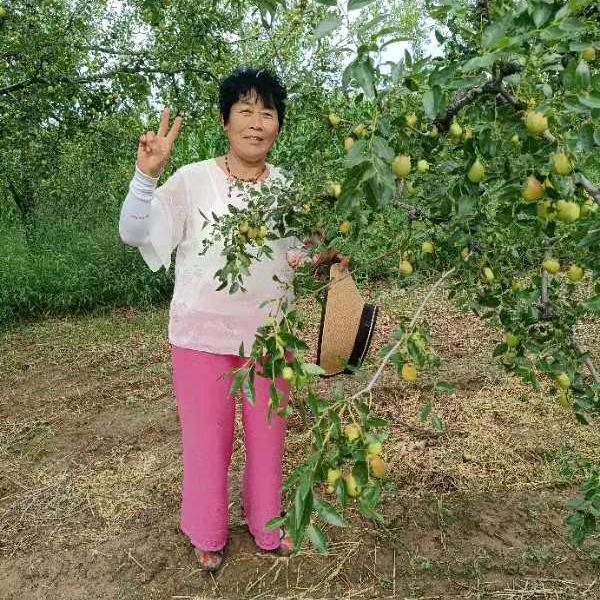 缘梦（首播）