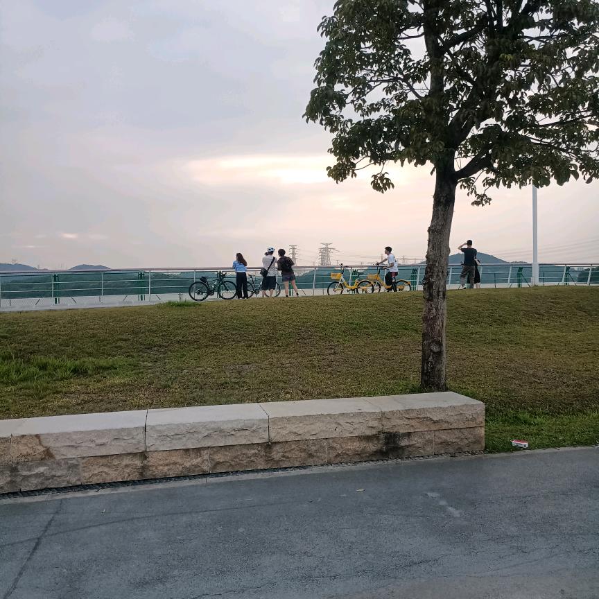 眉目成舟(好物)