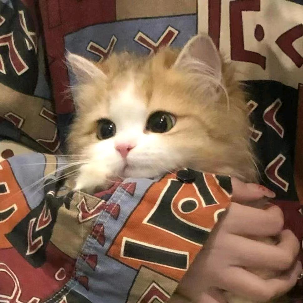 RRRRr