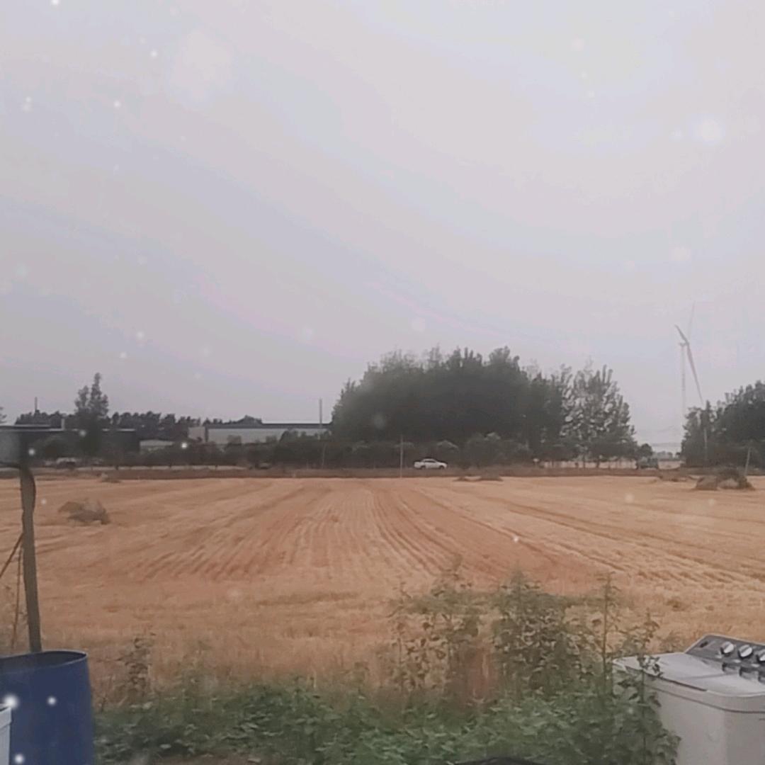 种地的70后老王