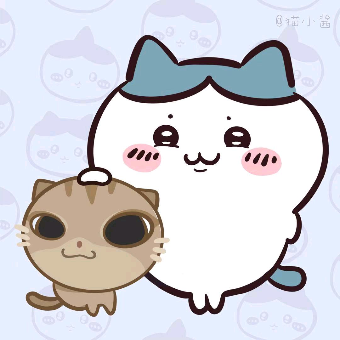等猫酱