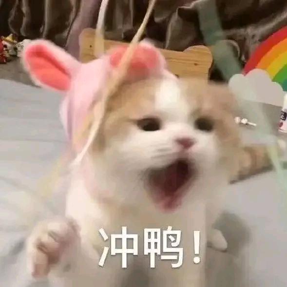 ᰔᩚ沐语ᥫᩣ