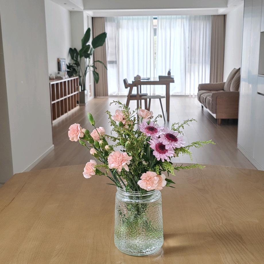 早晨的太阳☀️