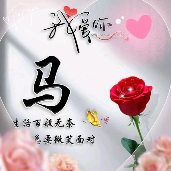 小马哥