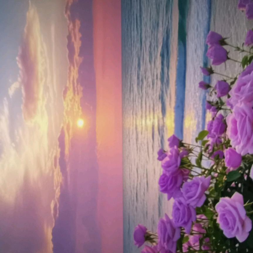 秋花