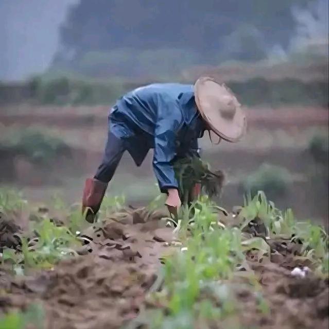 精选果园