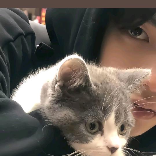 和女孩儿说话会脸红