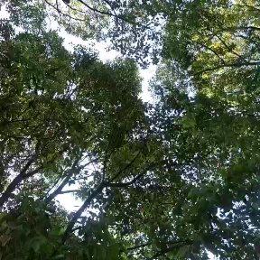 三分归元气