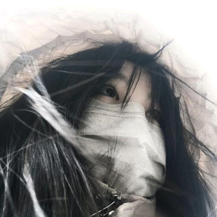 饼干碎星星✨