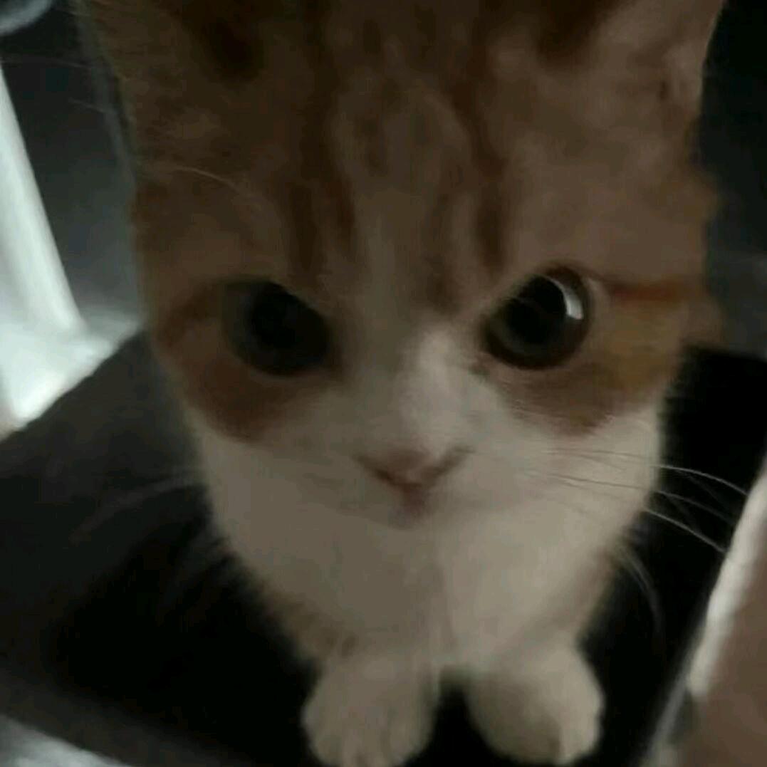 －.－