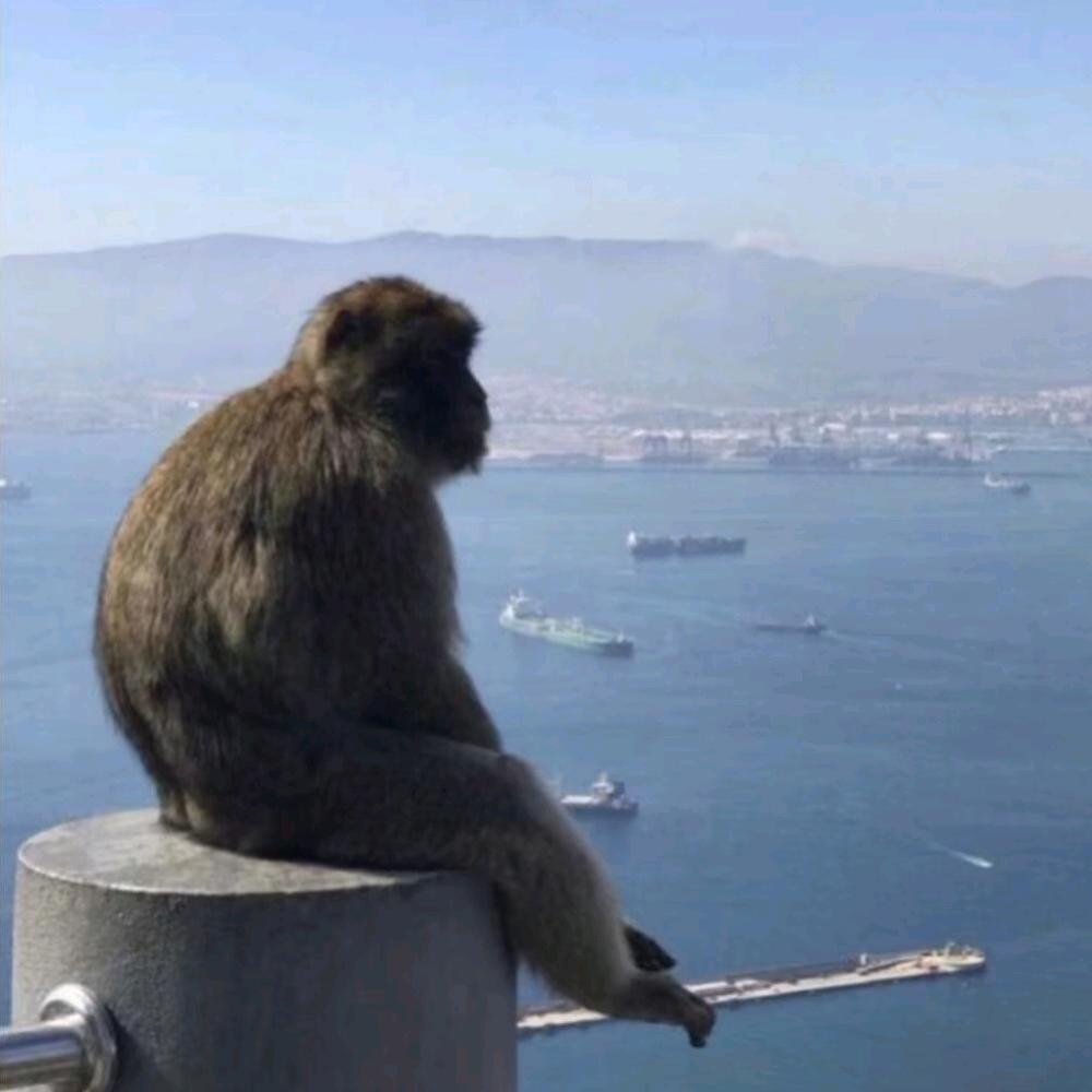 你的寒王.