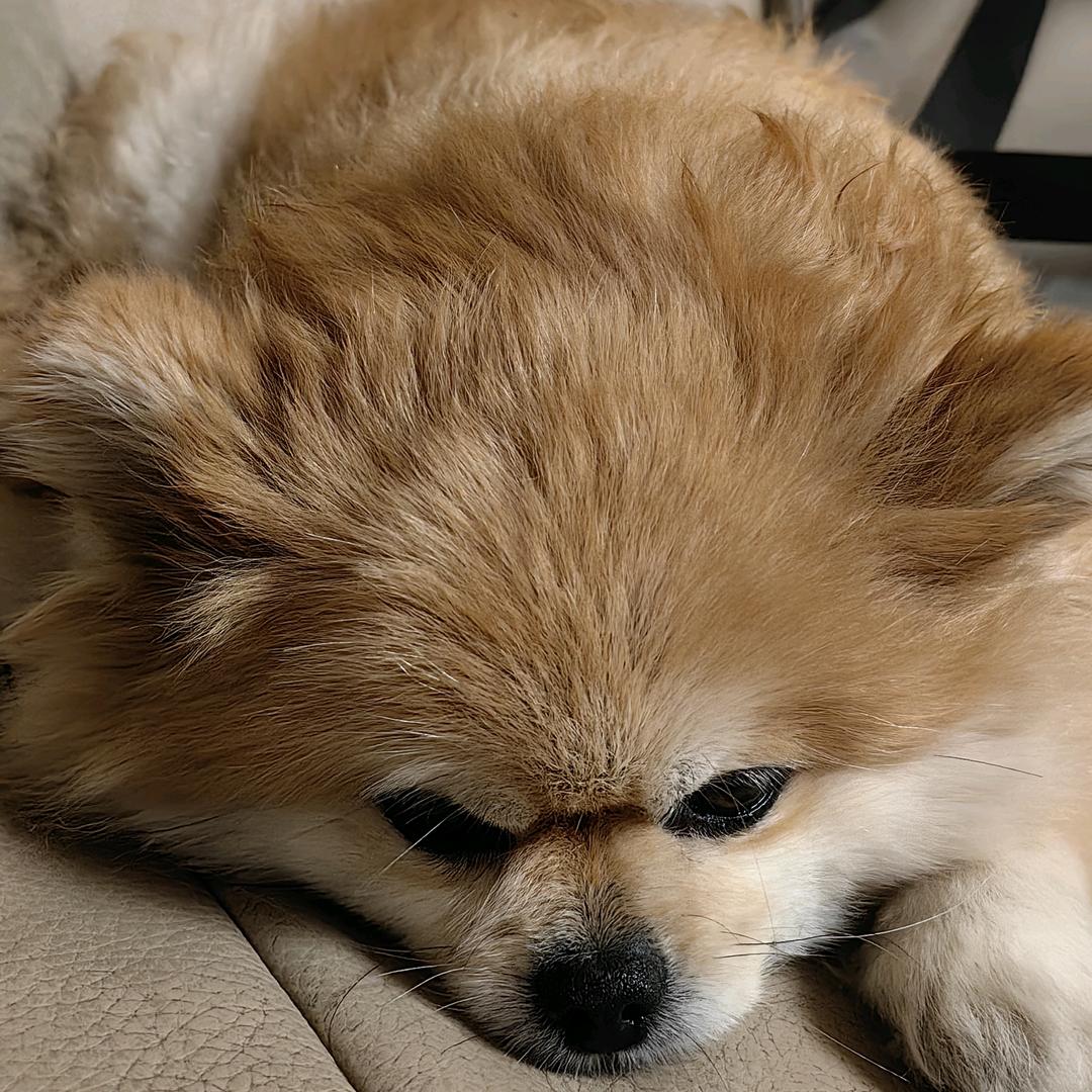 笑嘻嘻