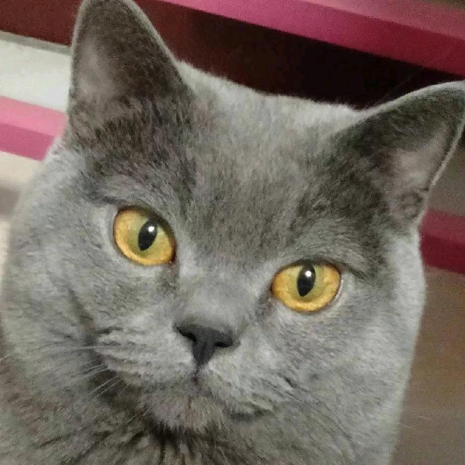 木林森照明 光源世家