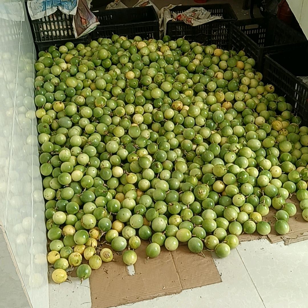 黑鹰