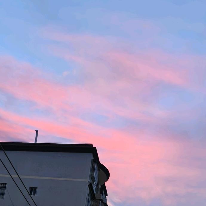 蒙牛。