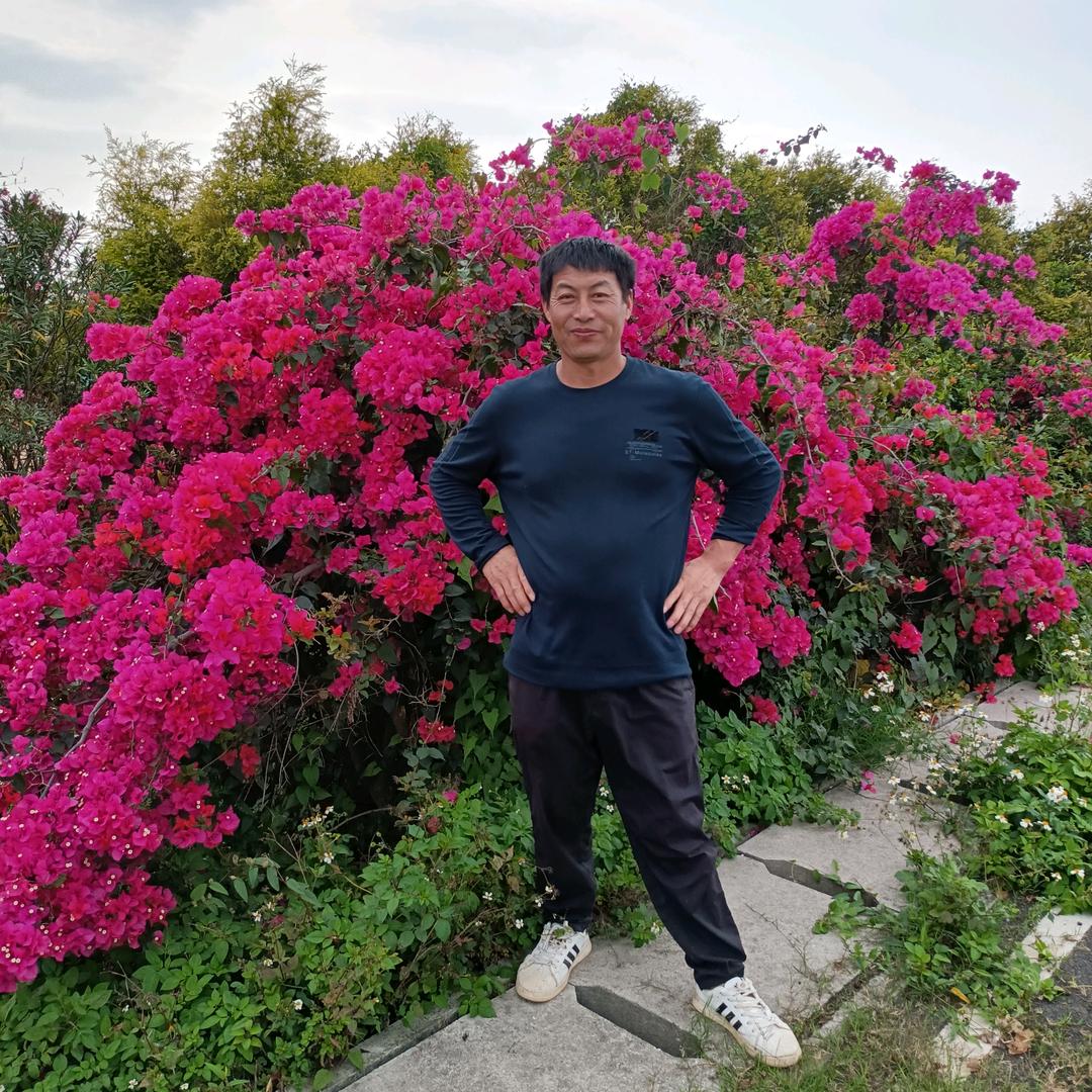 明天会更美好